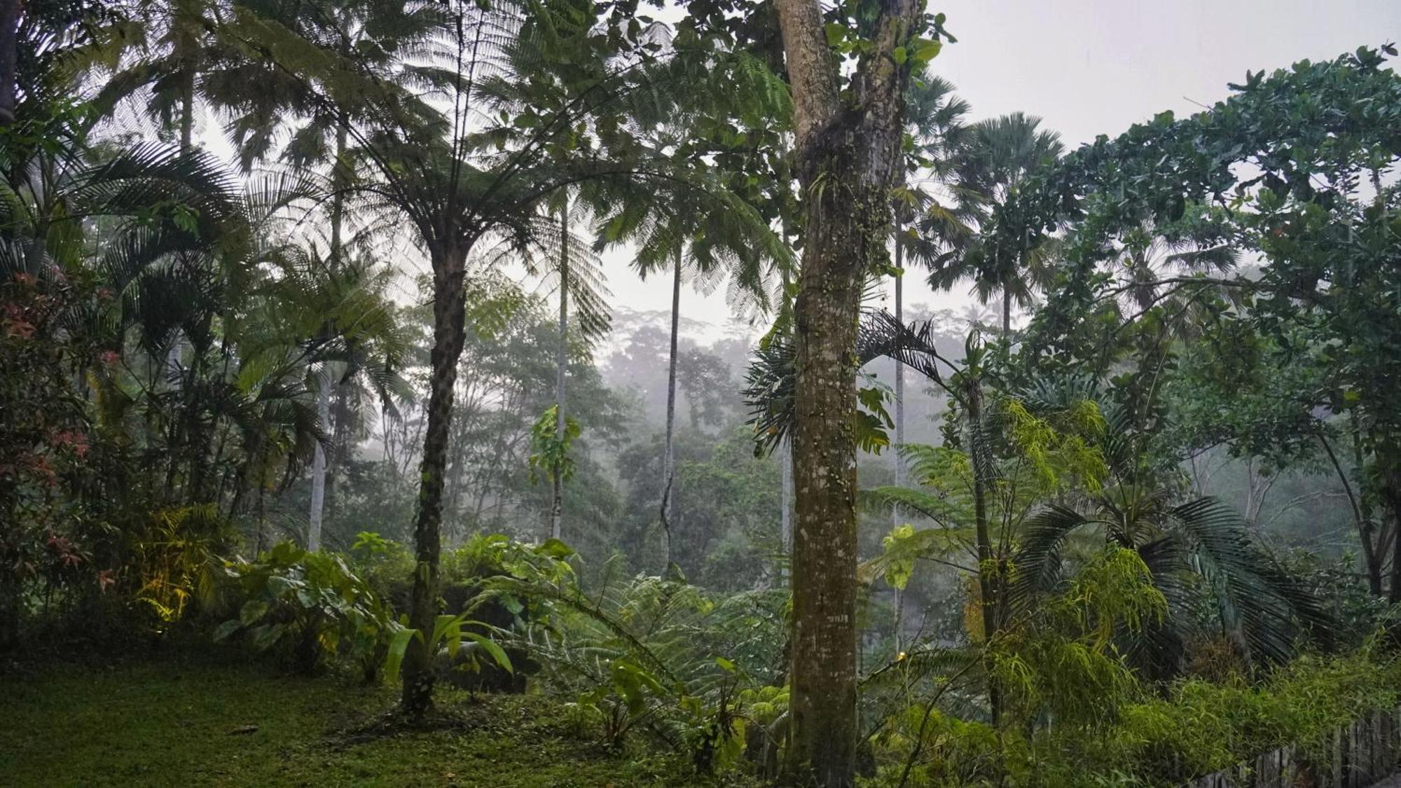 Sandhya Villa Ubud エクステリア 写真